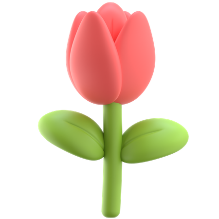 Tulip  3D Icon