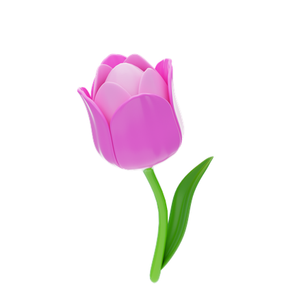 Tulip  3D Icon