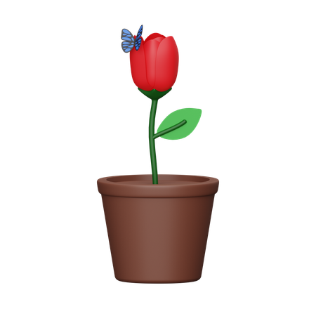 Tulip  3D Icon