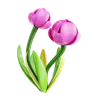 Tulip