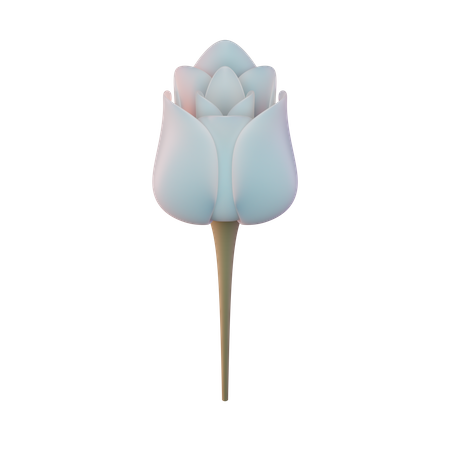 Tulip  3D Icon