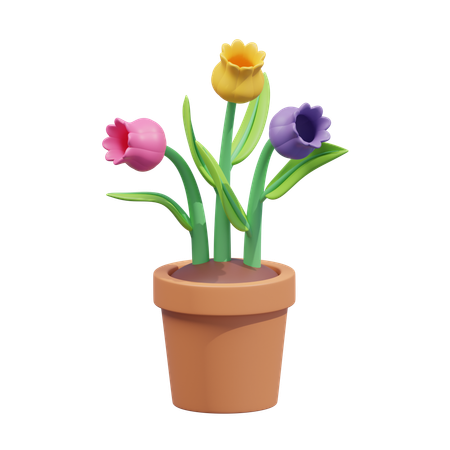 Tulip  3D Icon