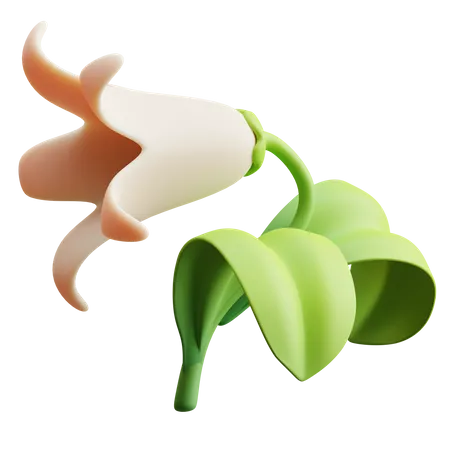 Tulip  3D Illustration