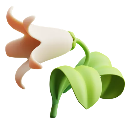 Tulip 3D Illustration