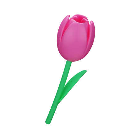 Tulip 3 D Spring 3D Icon