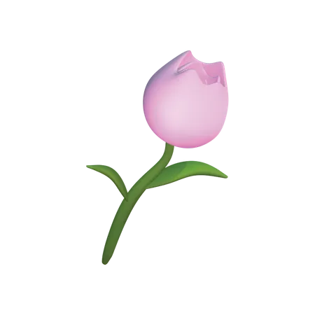 Tulip 3D Icon