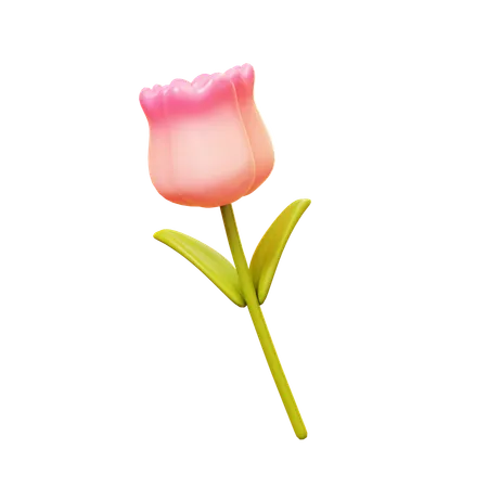 Cute Cartoon Pink Tulip Flower In Garden Farm Forest And Agriculture Nature And Environment Eco Concept 3D Icon
