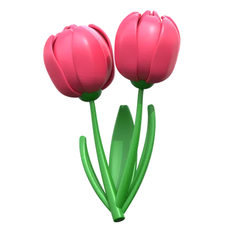 Tulip Flower 3 D Icon 3D Icon