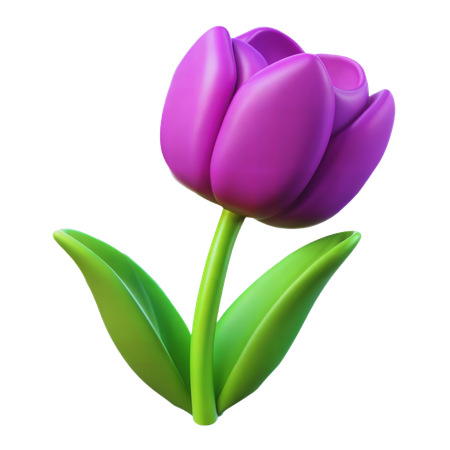 Tulip flower  3D Icon