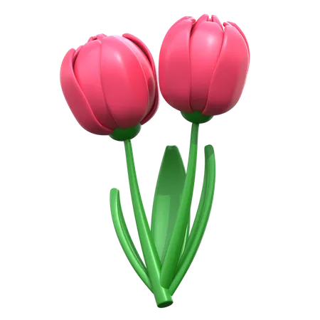 Tulip Flower  3D Icon