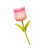 Tulip Flower