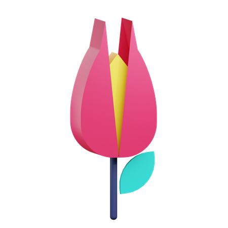 Tulip Flower  3D Icon