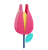 Tulip Flower