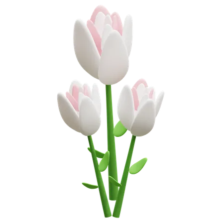 Tulip Flower  3D Icon