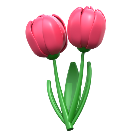 Tulip Flower  3D Icon