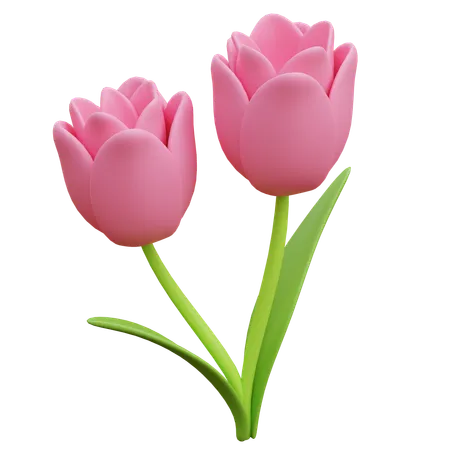 Tulip Flower 3D Illustration