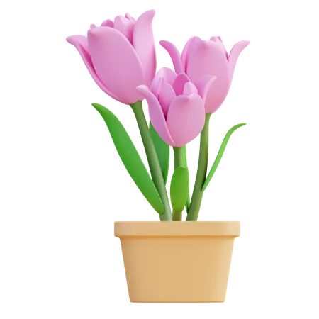 3 D Illustration Tulip Flower 3D Icon