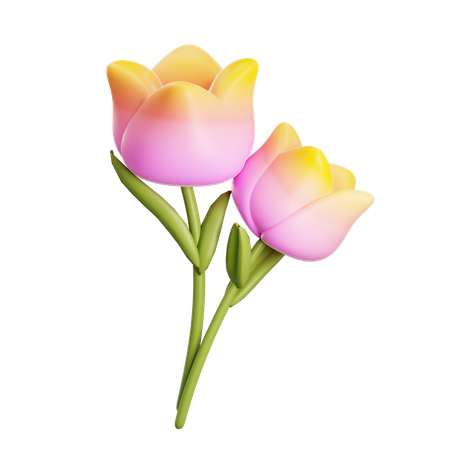 Tulip Flowers  3D Icon