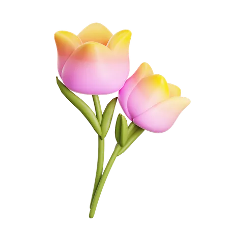 Tulip Flowers  3D Icon