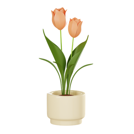 Tulip Plant Pot  3D Icon