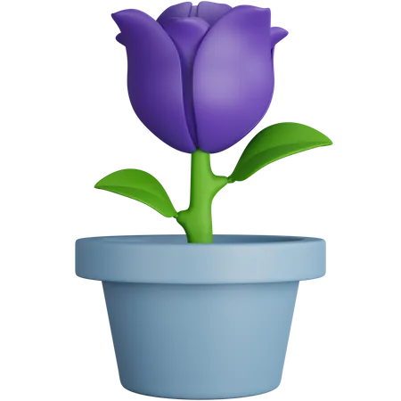 3 D Rendering Charming Purple Tulip Flowers Pot Isolated 3D Icon