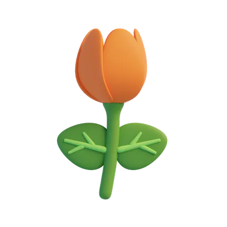 Tulipa  3D Icon