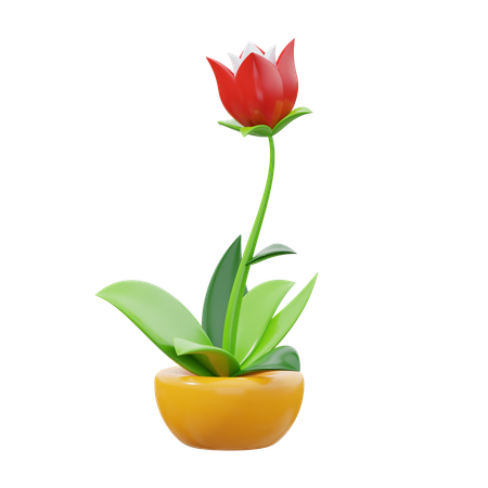 Tulipa  3D Icon