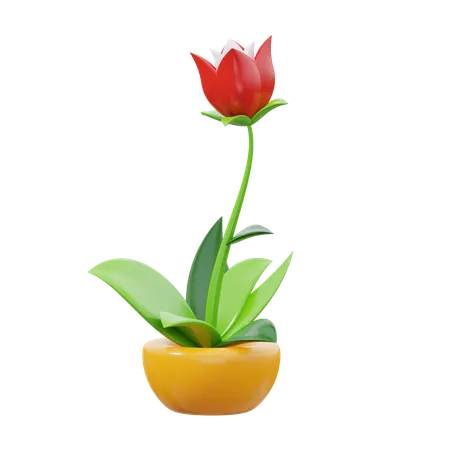 Tulipa  3D Icon