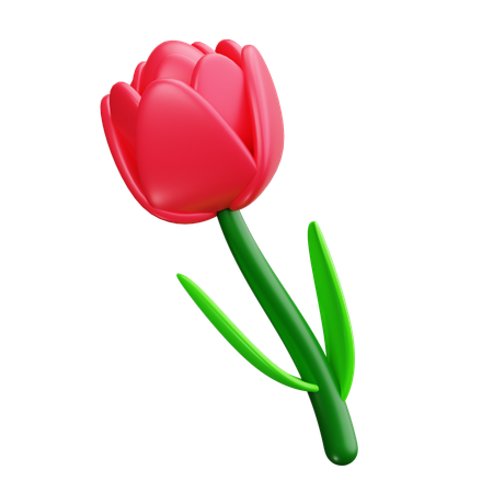 Tulipa  3D Icon