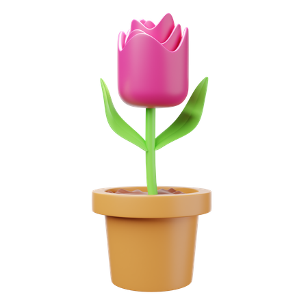Tulipa  3D Illustration