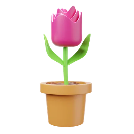 Tulipa  3D Illustration