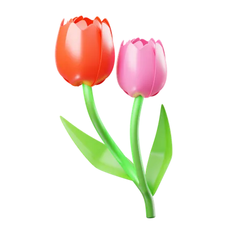 Tulipa  3D Icon