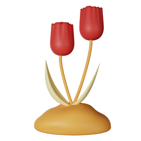 Tulipa  3D Icon