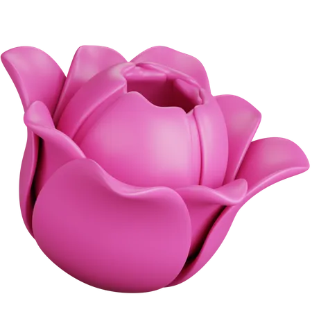 Tulipa rosa  3D Icon