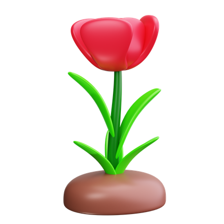 Tulipán  3D Icon