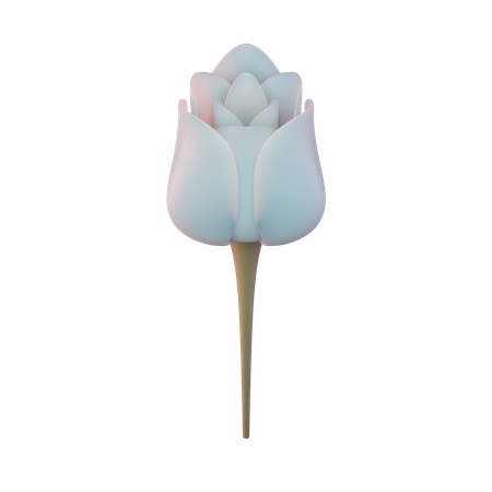Tulipán  3D Illustration