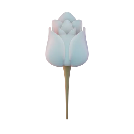 Dia Internacional De La Mujer Ilustracion 3 D Del Petalo De Flor De Tulipan 3D Illustration
