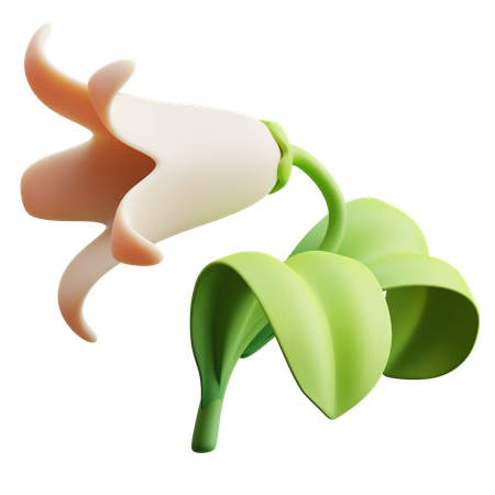 Tulipán  3D Illustration