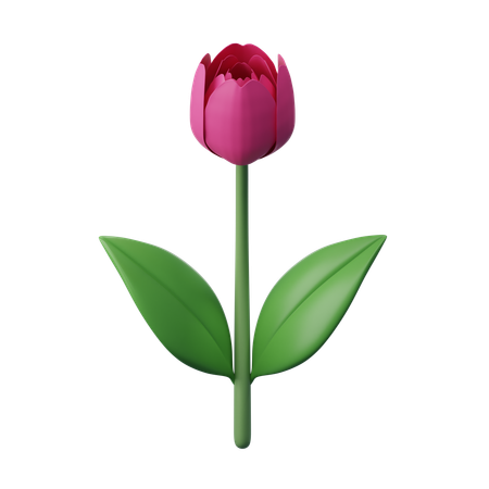 Flor de tulipán  3D Icon