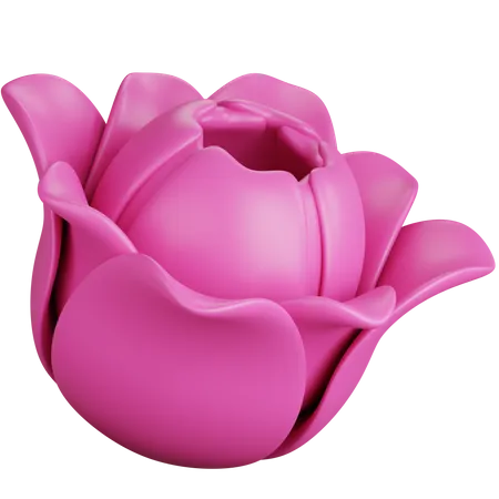 Representacion 3 D De Flores De Tulipan Rosa Aisladas 3D Icon
