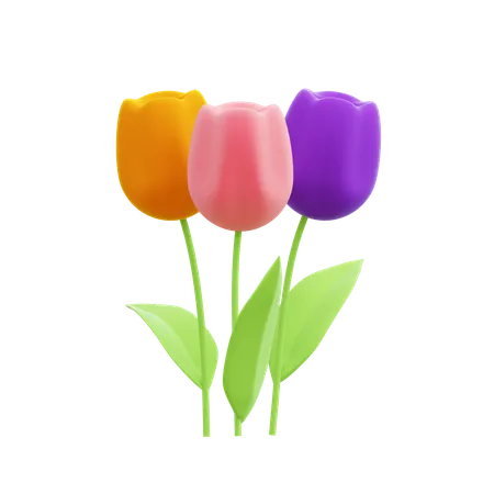 Tulipanes  3D Icon