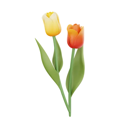 Tulipanes  3D Icon