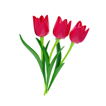 Tulipe  3D Icon