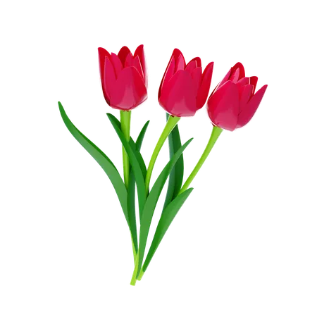 Tulipe  3D Icon