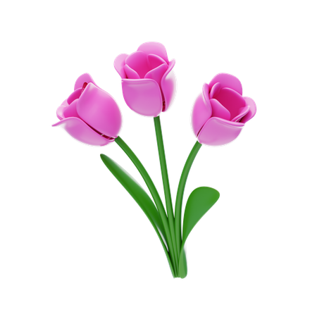 Tulipe  3D Icon