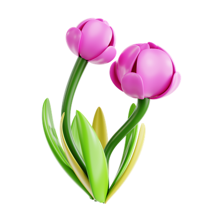 Tulipe  3D Icon