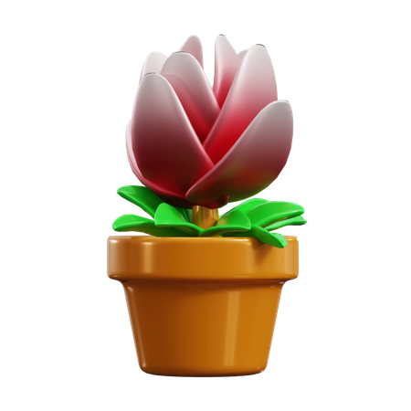 Tulipe  3D Icon