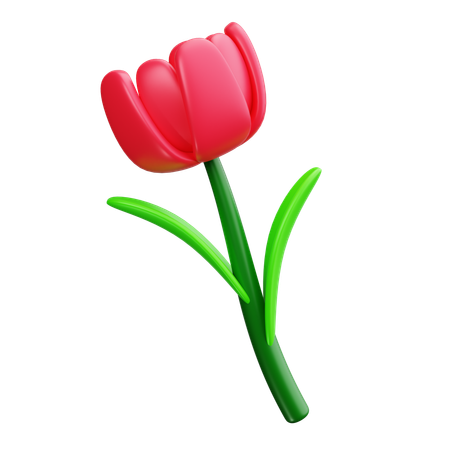 Fleur de tulipe  3D Icon