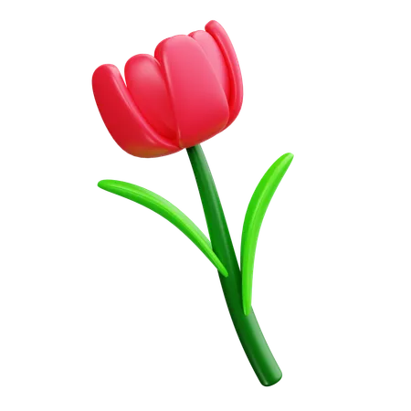 Fleur de tulipe  3D Icon