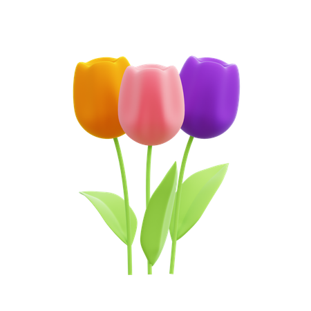 Tulipes  3D Icon